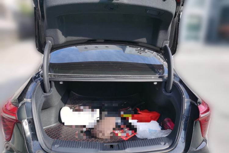 Used Hongqi H5 2024 2.0T Automatic Smart Connect Flagship Edition