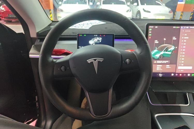 Used Tesla Model Y 2021 Standard Range Rear-Wheel Drive Version
