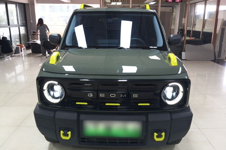 Used  Panda 2024 200km Panda Rider