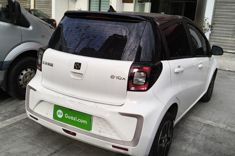 Used SOL E10X 2022 Flower Fairy Design Four-Leaf Clover