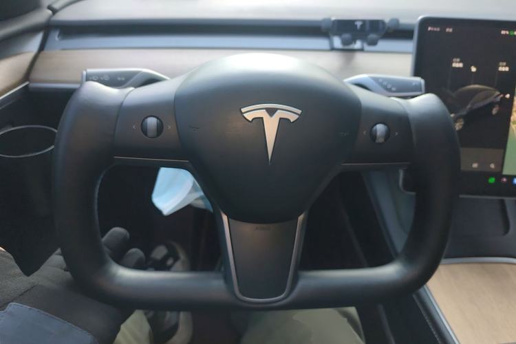 Used Tesla Model Y 2021 Long-Range All-Wheel-Drive Version