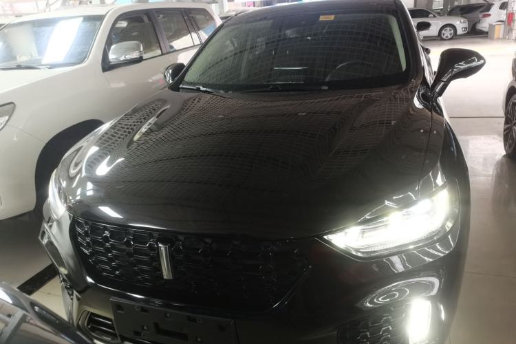 Used Wey VV5 2019 1.5T Two-Wheel Drive Color Pioneer
