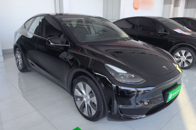 Used Tesla Model Y 2021 Standard Range Rear-Wheel Drive Version
