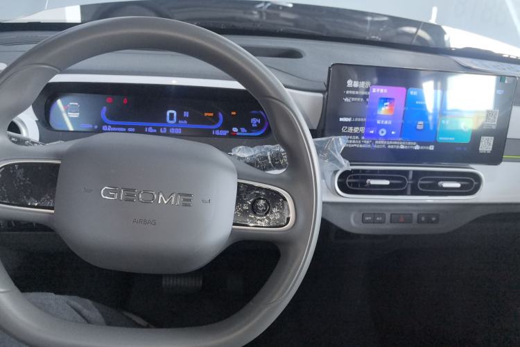 Used  Panda 2025 210 km – Yuanqi Bear
