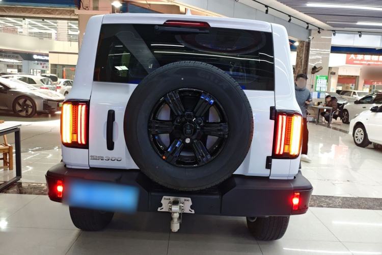 Used Tank 300 2025 2.0T Conqueror
