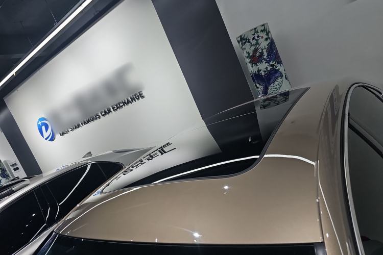 Used Volkswagen Passat 2019 330TSI Luxury Edition China VI