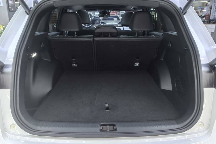 Used Geely Auto Monjaro L 2024 2.0TD High-Power Automatic Two-Wheel Drive Skyline Edition
