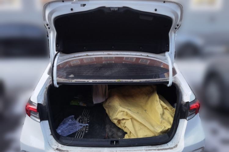 Used Toyota Corolla 2019 1.2T S-CVT GL-i Elite Edition
