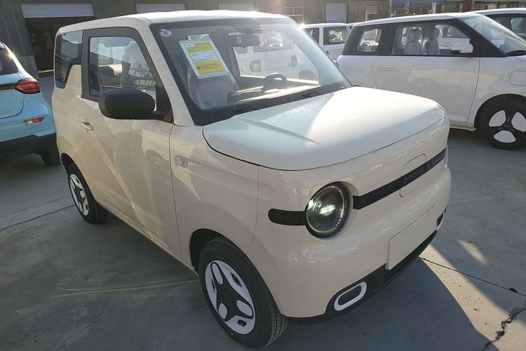 Used  Panda 2025 210 km – Yuanqi Bear

