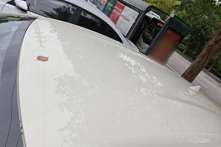 Used BYD Dolphin 2025 420km Free Edition