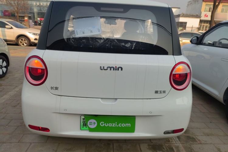 Used  Lumin 2025 205 km Xiangqin Version
