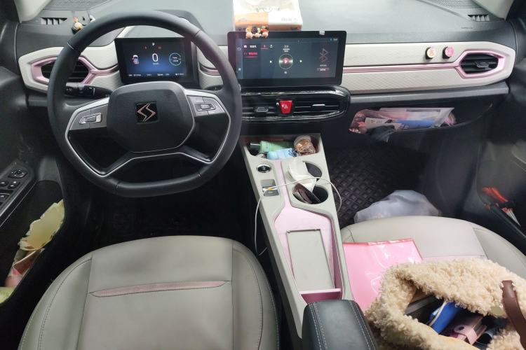 Used SOL E10X 2022 Flower Fairy Design Four-Leaf Clover
