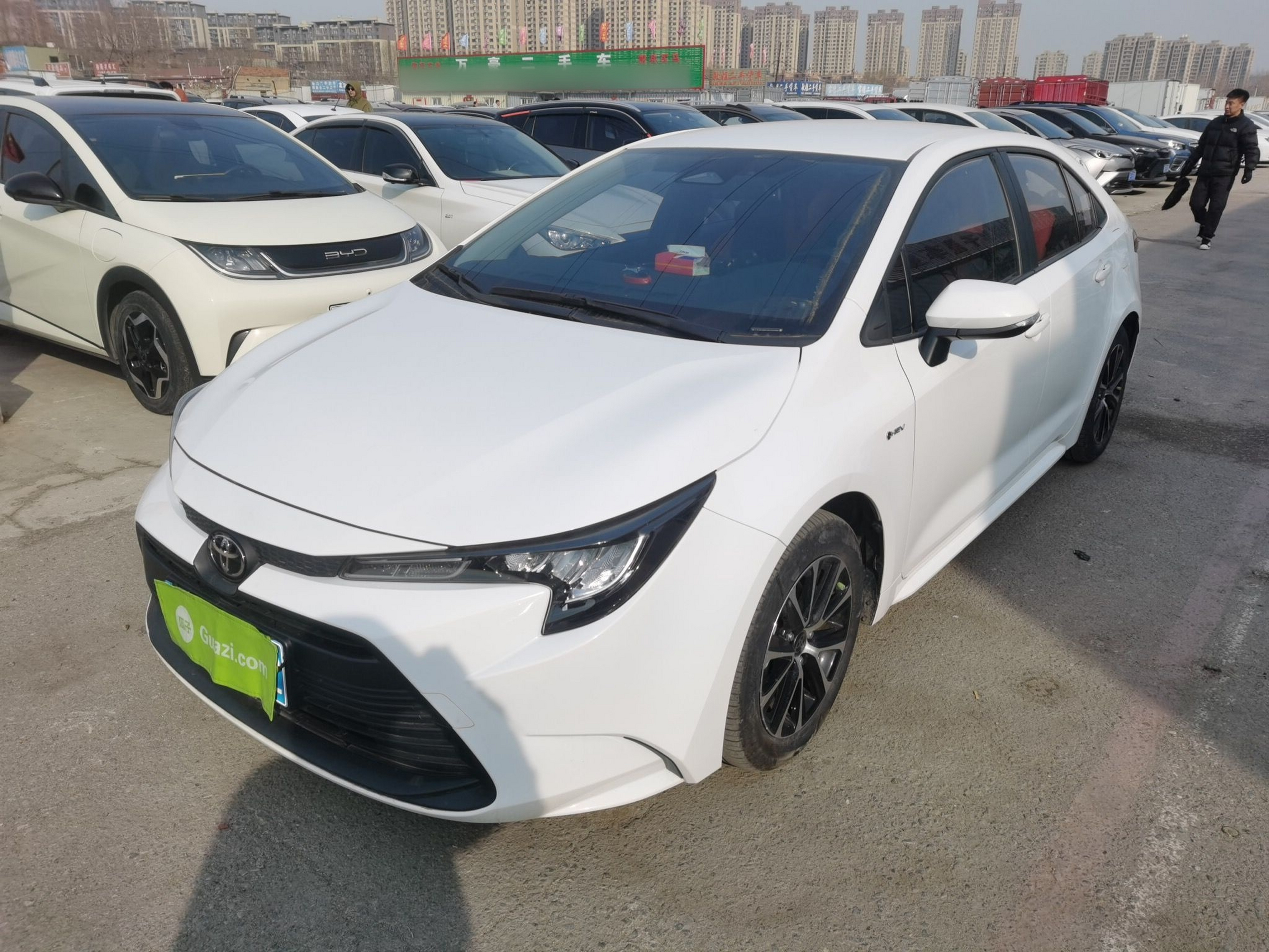 تحت مقدمة السيارة