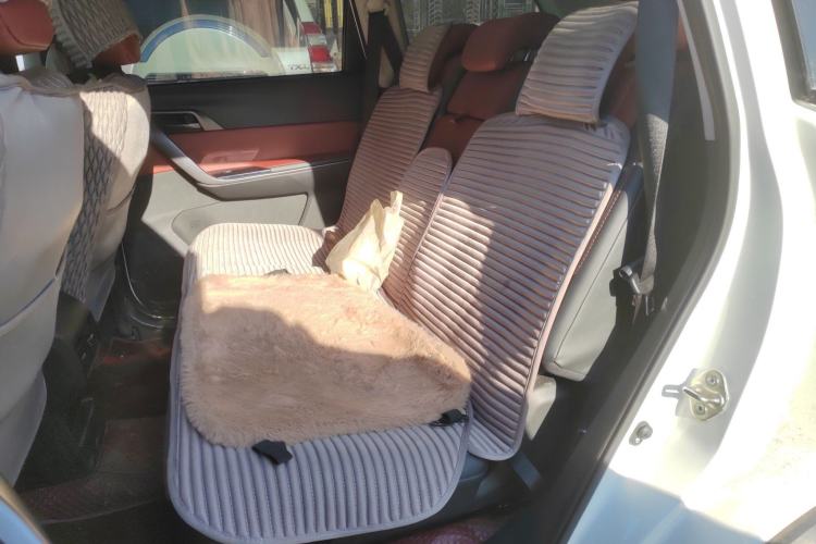 Used FORTHING T5L 2020 1.5T Automatic Luxury 7-Seater China VI Standard