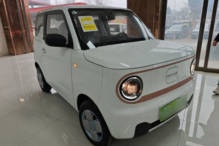 Used  Panda 2024 Panda Mini 200km Endurance Bear