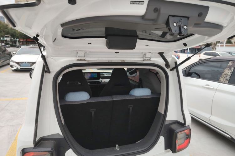 Used  Panda 2023 Panda Mini 200km Endurance Bear
