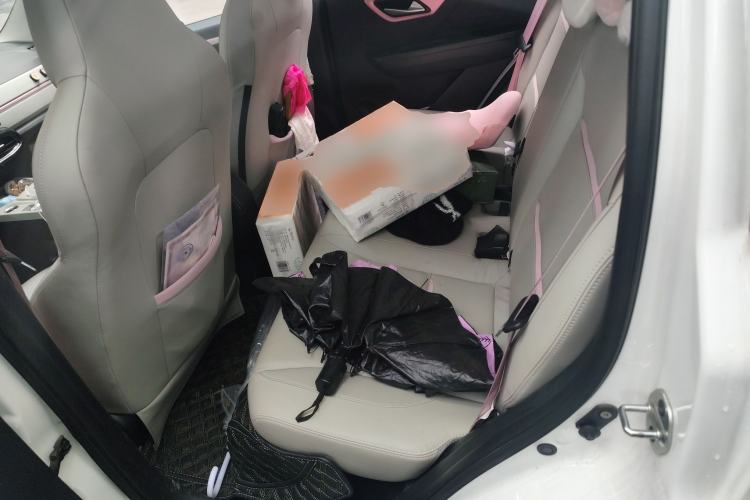 Used SOL E10X 2022 Flower Fairy Design Four-Leaf Clover
