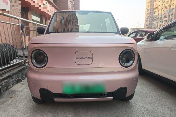 Used  Panda 2023 Panda Mini New Year Edition Treasure Bear
