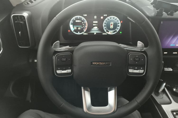 Used Haval DARGO 2024 2.0T DCT Chinese Rural Dog Edition
