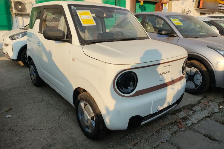 Used  Panda 2024 Panda Mini 200km Endurance Bear
