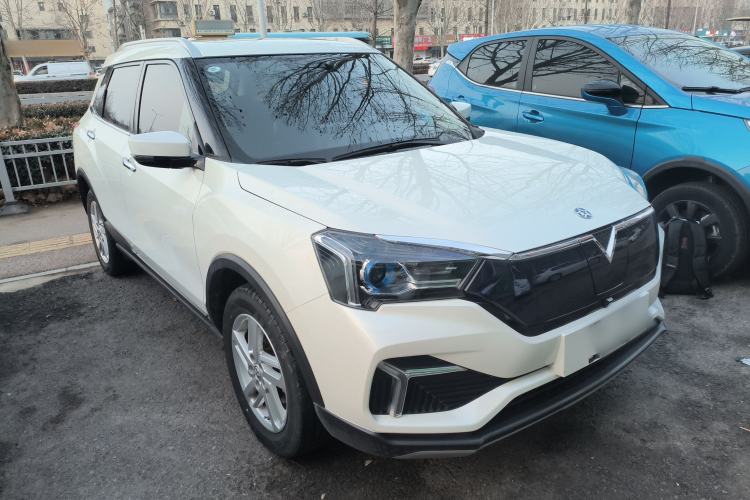 Used Venucia T60EV 2020 AI Enjoyment Model
