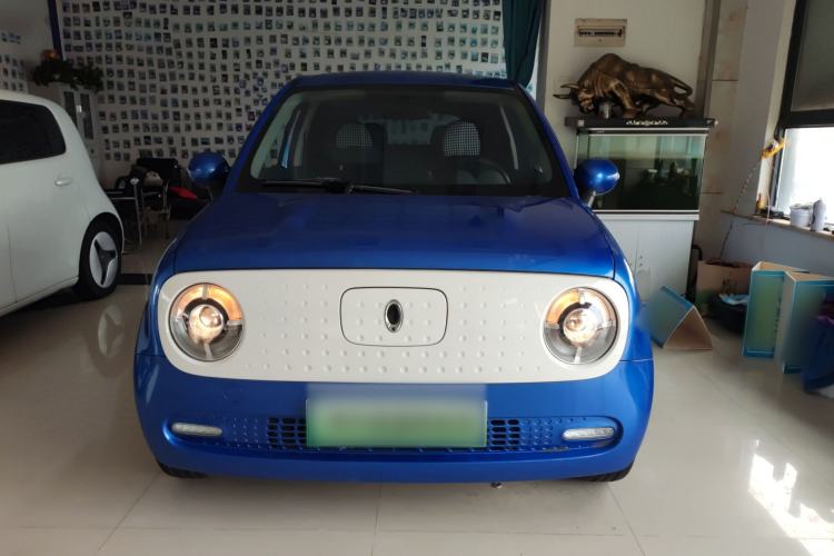 Used ORA Black Cat 2019 351 km Family Edition