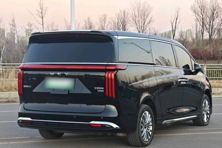 Used Wey Gaoshan 2025 Four-Wheel Drive Alpine 9
