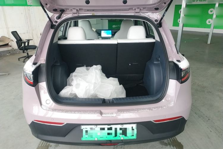 Used  Geome 2025 310km Youth Edition
