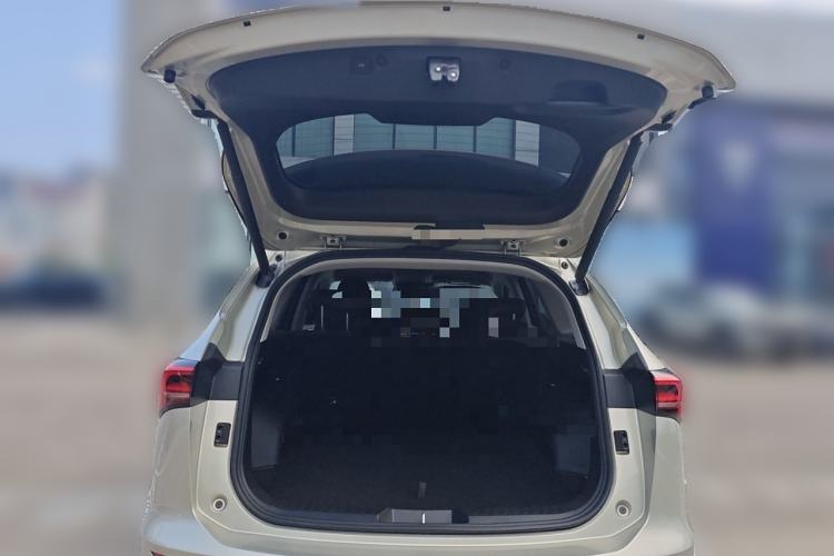 Used Haval H6 2024 1.5T Two-Wheel Drive Ultra
