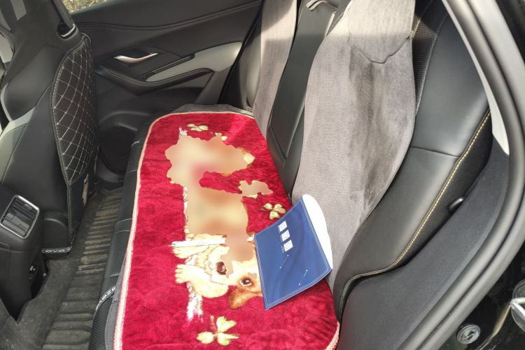 Used BYD Sealion 05 DM-i 2025 DM-i Smart Drive 115KM Prestige Model
