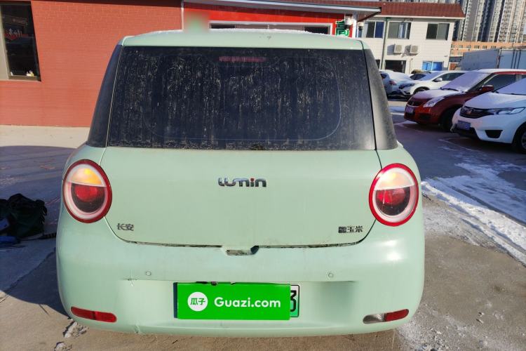 Used  Lumin 2025 205 km Xiangqin Version
