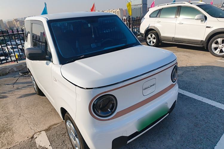 Used  Panda 2024 Panda Mini 200km Dragon Edition
