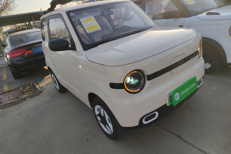 Used  Panda 2025 210 km – Yuanqi Bear
