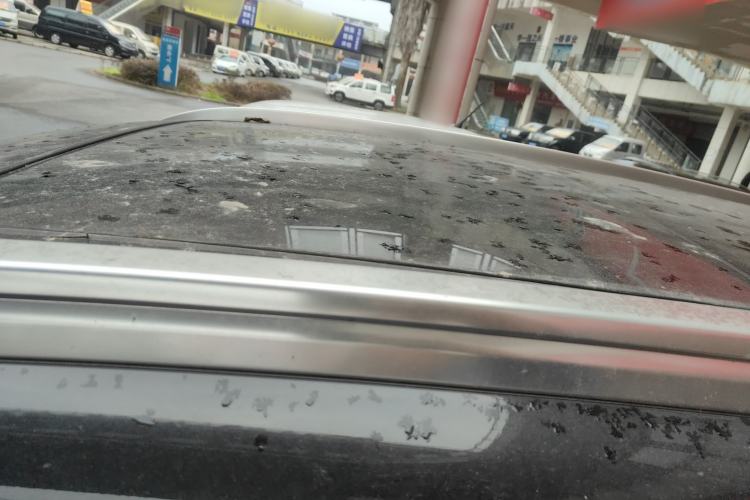 Used Haval H6 2021 1.5T Automatic Urban Edition