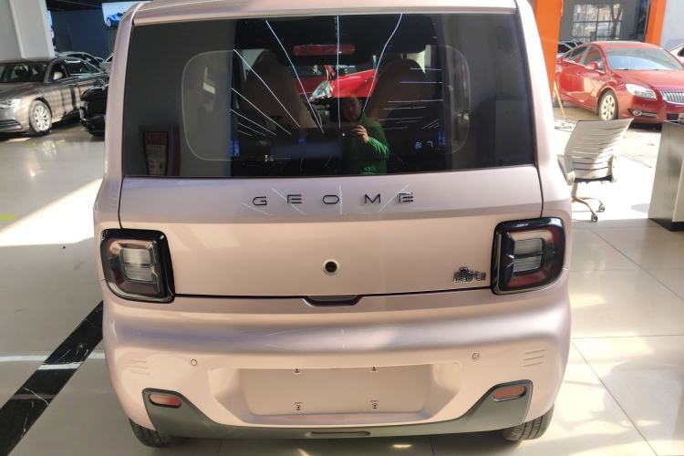 Used  Panda 2023 Panda Mini 200km Endurance Bear
