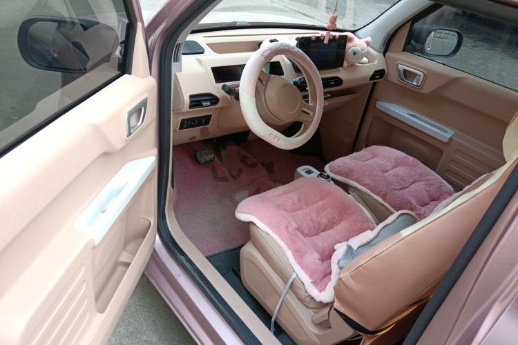 Used  Panda 2023 Panda Mini 200km Endurance Bear
