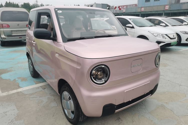 Used  Panda 2023 Panda Mini 200km Endurance Bear
