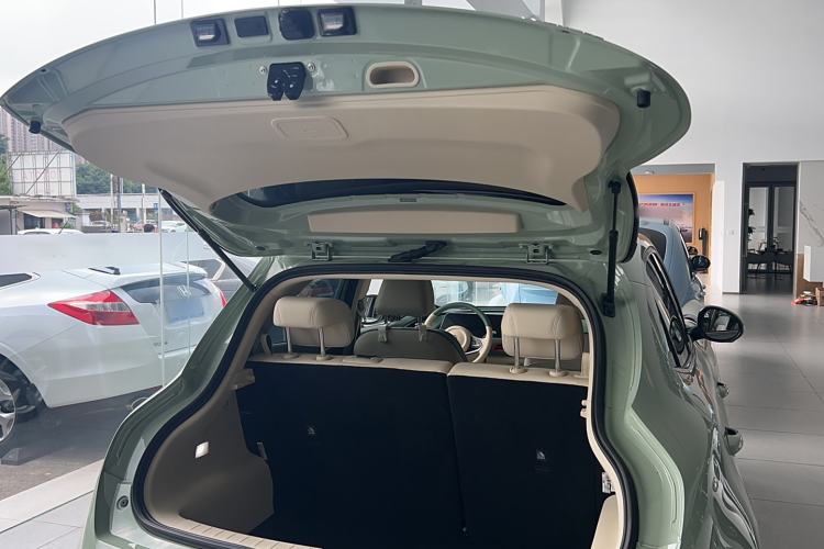 Used ORA Good Cat 2023 401 km Standard Range Luxury Version Lithium Iron Phosphate
