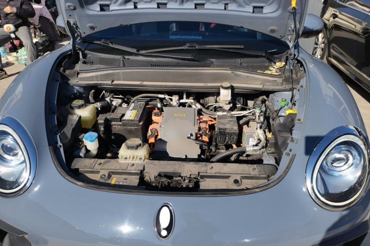 Used ORA Good Cat GT 2022 Mulan Edition 480km Long-Range续航
