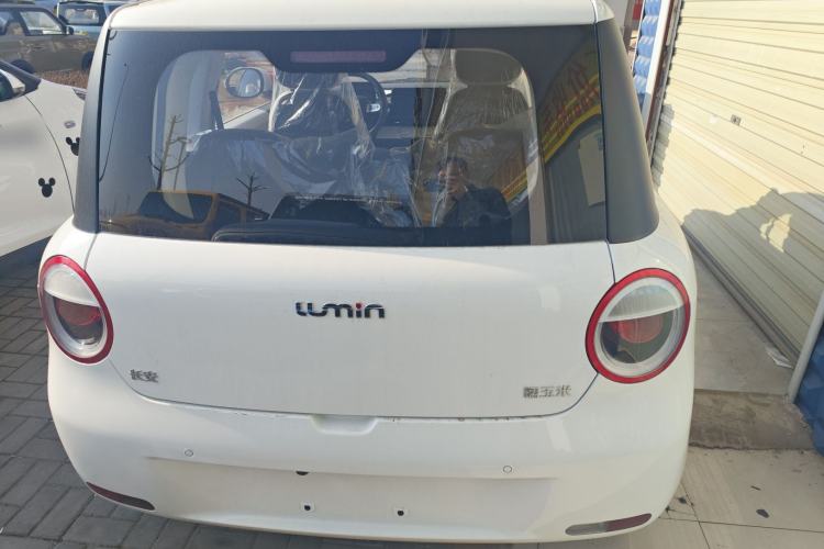 Used Qiyuan Lumin 2025 205 km Xiangqin Version
