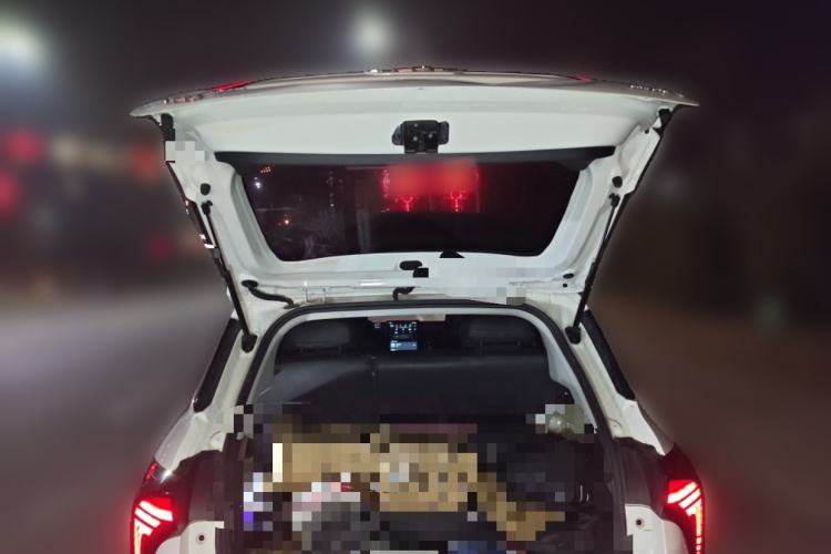 Used NETA V 2021 Standard Range Entertainment Edition