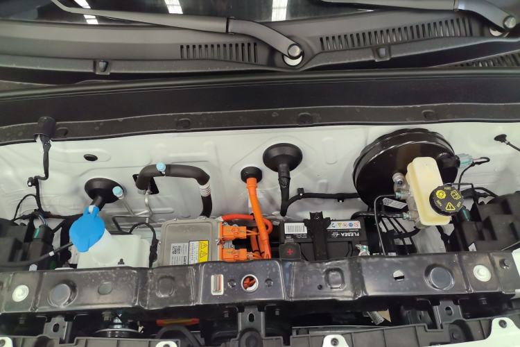 Used  Panda 2024 Panda Mini 200km Endurance Bear