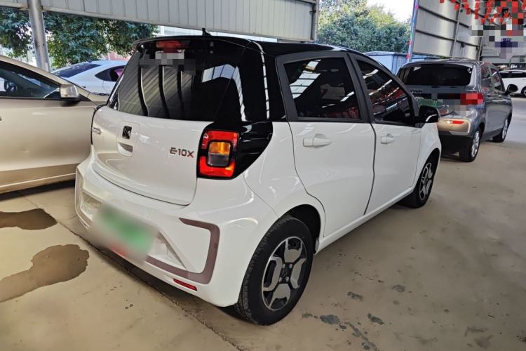 Used SOL E10X 2022 Flower Fairy Style Baby's Breath
