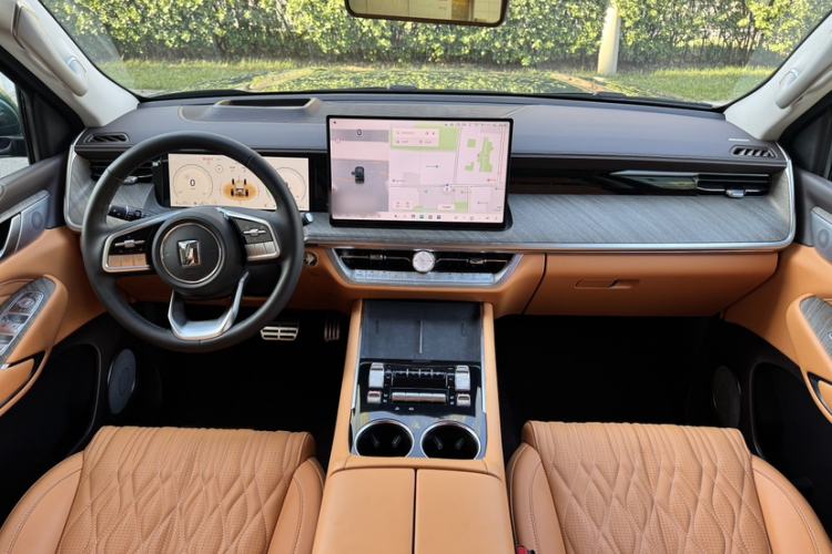 Used Tank 500 New Energy 
