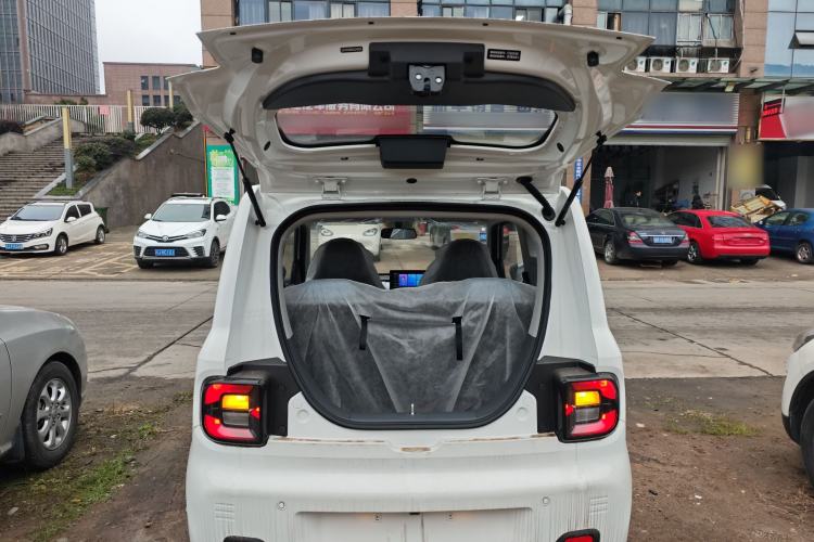 Used  Panda 2024 Panda Mini 200km Endurance Bear