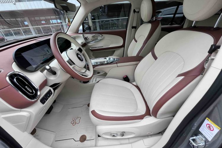 Used ORA Ballet Cat 2023 401 km Luxury Version
