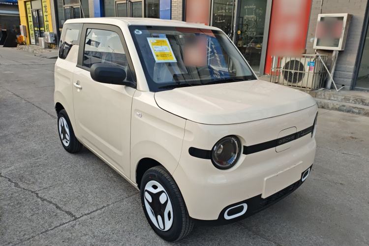 Used  Panda 2025 210 km – Yuanqi Bear
