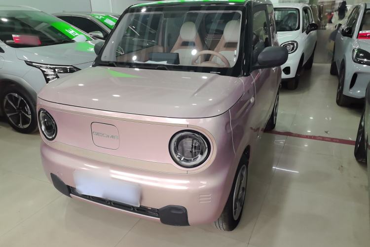 Used  Panda 2023 Panda Mini 200km Dynamic Bear
