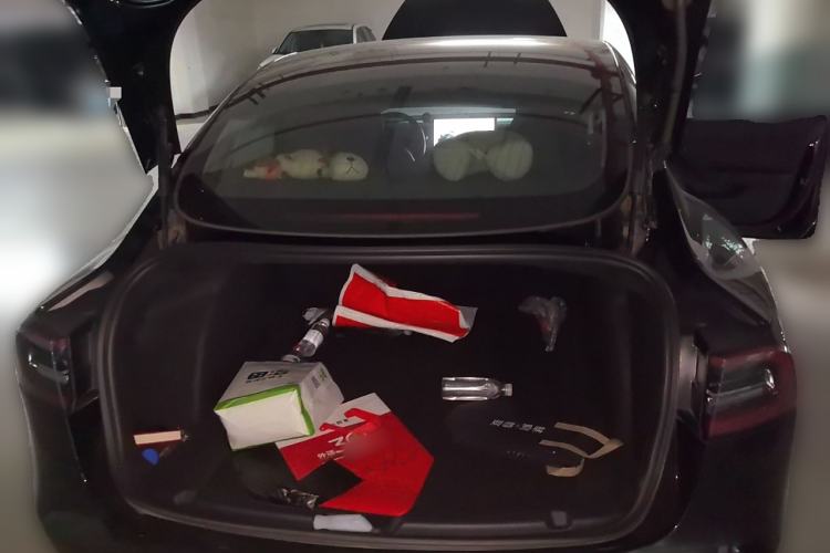 Used Tesla Model 3 2020 Standard Range Rear-Wheel Drive Upgraded Version
