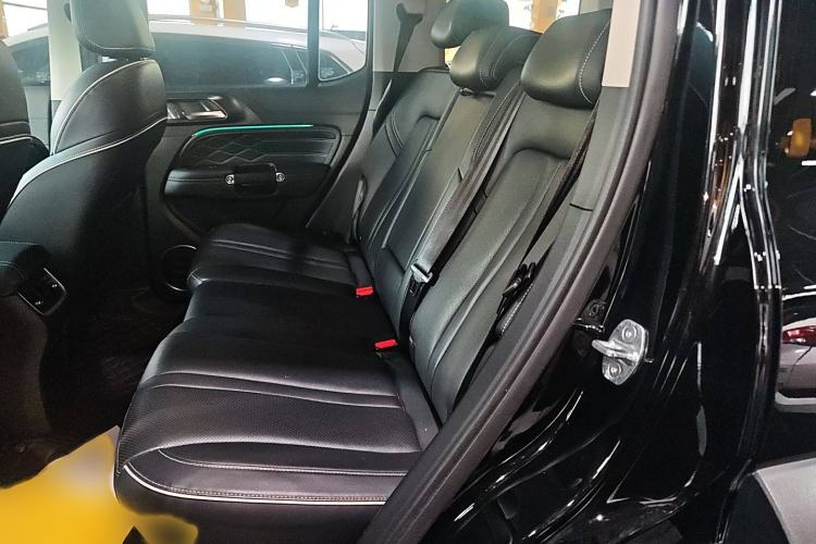 Used Tank 300 2024 2.0T Conqueror
